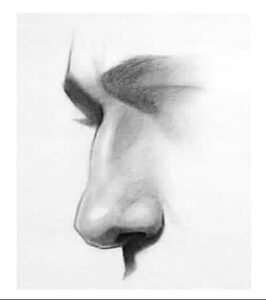 " nose drawing by icuong "